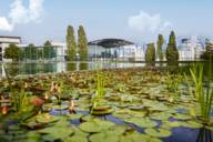 In front of the entrance to the Munich Trade Fair Centre is a landscaped lake with water lilies